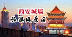 肏大黑泬中国陕西-西安城墙旅游风景区